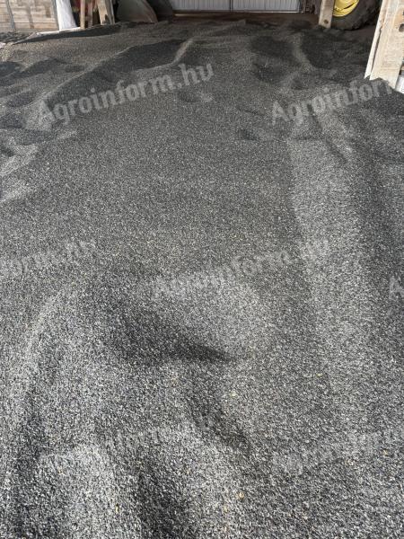 Napraforgó eladó – kombájnnal tisztított, kiváló minőségű szántóföldi napraforgó