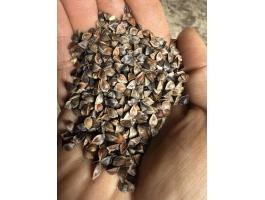 Tisztított hajdina eladó