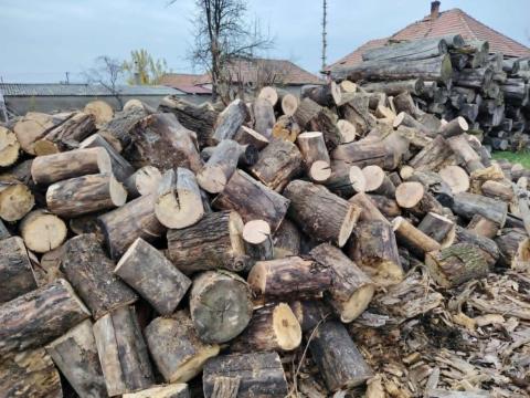 Kőris tűzifa eladó Kőris tűzifa eladó