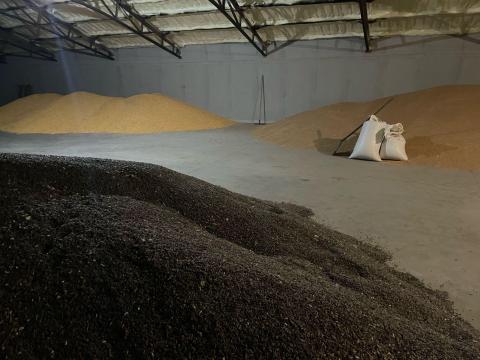 Búza, kukorica, napraforgó Búza, kukorica, napraforgó