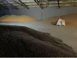 Búza, kukorica, napraforgó