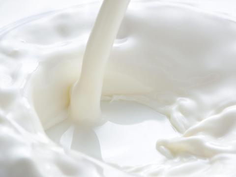 Termelői nyerstej Pest megyében, 3,72% zsírtartalommal Termelői nyerstej Pest megyében, 3,72% zsírtartalommal