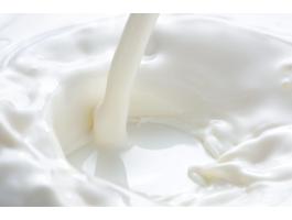 Termelői nyerstej Pest megyében, 3,72% zsírtartalommal