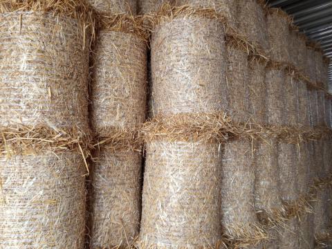 Kis körbàla szalma és más Kis körbàla szalma és más