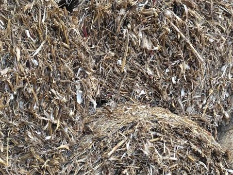 Kukorica szár körbála Kukorica szár körbála