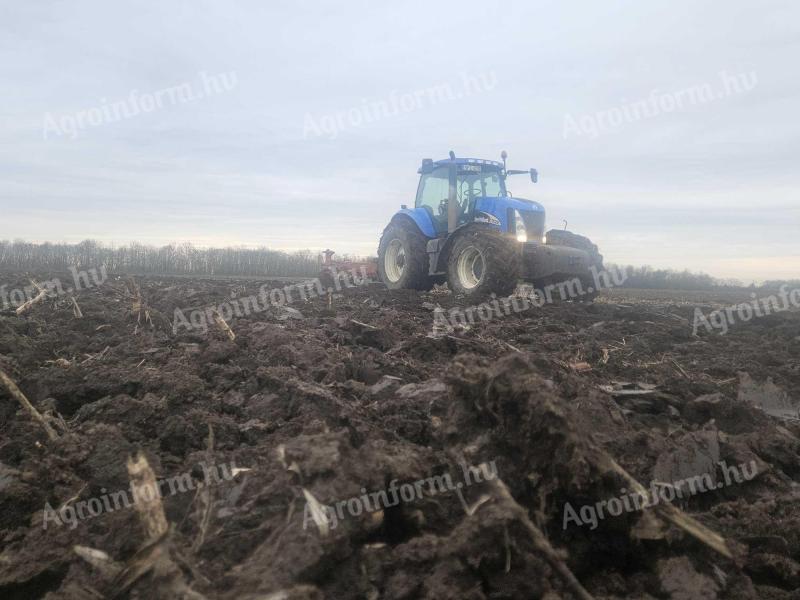 Szántóföldet bérelnék