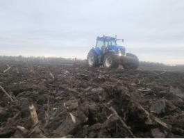 Szántóföldet bérelnék