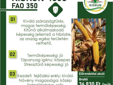 Kukorica vetőmagok előrendelési akcióban Kukorica vetőmagok előrendelési akcióban