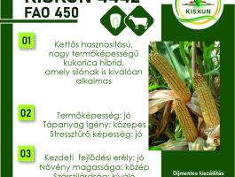 Kukorica vetőmagok kedvezményesen