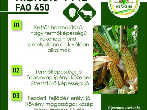 Kukorica vetőmagok kedvezményesen