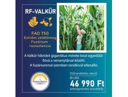 Kukorica vetőmagok előrendelési akcióban