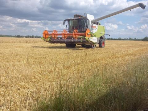 Búza eladó vagy csere érdekel mchale v660 körbálázó ra Búza eladó vagy csere érdekel mchale v660 körbálázó ra