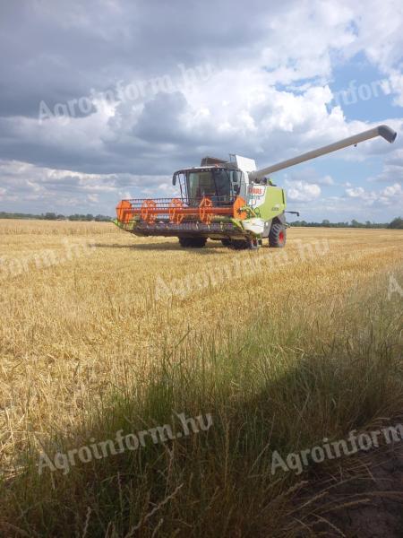 Búza eladó vagy csere érdekel mchale v660 körbálázó ra