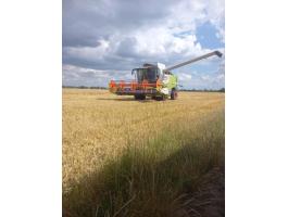 Búza eladó vagy csere érdekel mchale v660 körbálázó ra