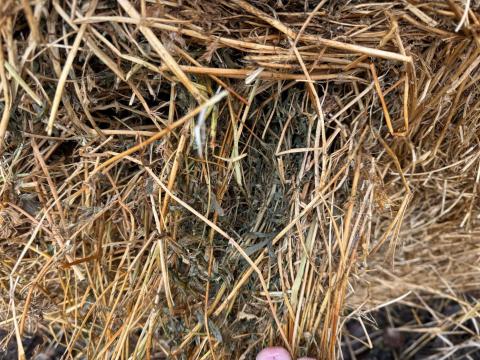 Lucerna eladó Lucerna eladó