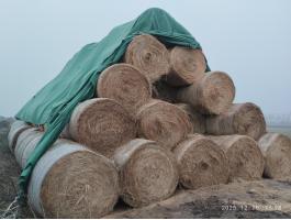 Fűszéna bála eladó