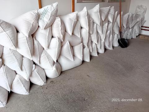 Takarmány kukorica Takarmány kukorica