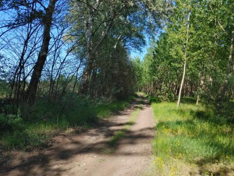 Vasad közelében 1,8 ha (18 000 m²) legelő eladó, jó megközelíthetőséggel
