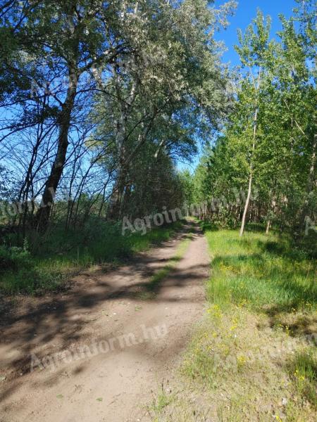 Vasad településhez közel 1,8 (18000m2)ha szántó a valóságban legelő eladó