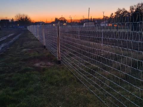 P-Tech Vadháló és Trapéz drótháló. 100% magyar kerítés gyártó és forgalmazó P-Tech Vadháló és Trapéz drótháló. 100% magyar kerítés gyártó és forgalmazó