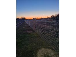 P-Tech Vadháló és Trapéz drótháló. 100% magyar kerítés gyártó és forgalmazó