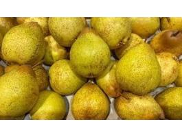 Körte,  lének való eladó