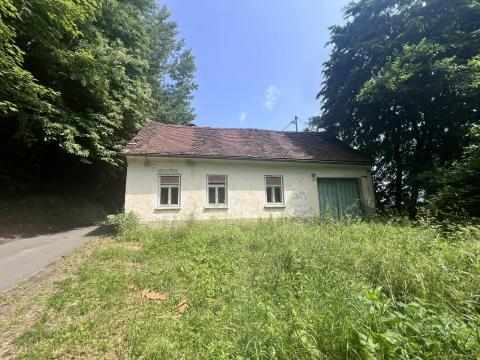 Burgenlandi tanya saját erdővel – ahol a csend és a természet az úr Burgenlandi tanya saját erdővel – ahol a csend és a természet az úr