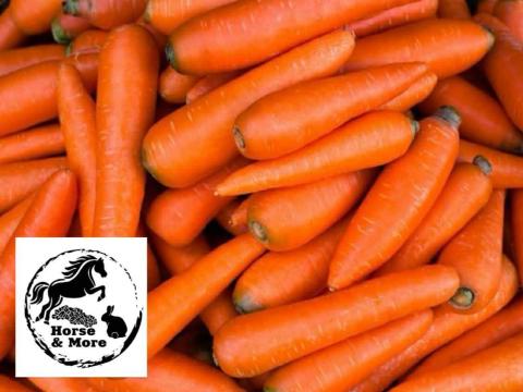 Takarmány sárgarépa rendelhető Takarmány sárgarépa rendelhető