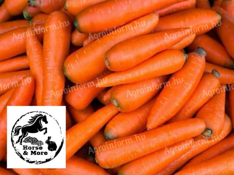 Takarmány sárgarépa rendelhető