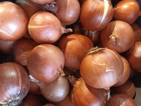 Vöröshagyma eladó Vöröshagyma eladó