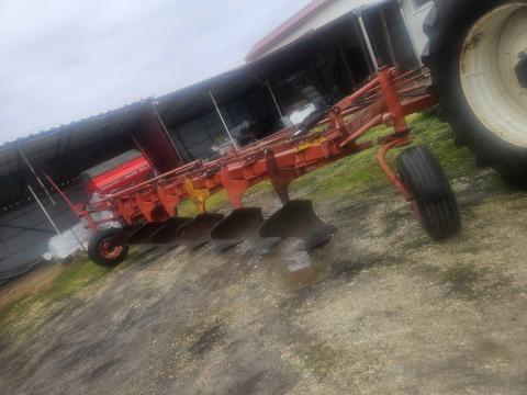 Ih 6 fejes eke Ih 6 fejes eke