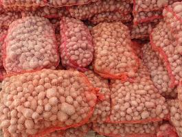 Burgonya ipari eladó