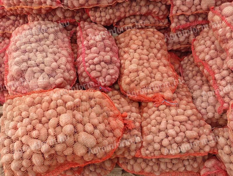 Burgonya ipari eladó