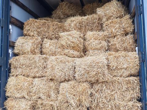 Kiskocka bála eladó – Száraz, friss szalma Jánosházán