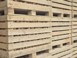 Vöröshagyma eladó kedvező áron