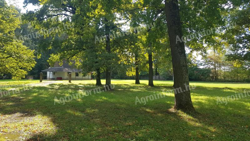 Turisztikai övezet 10% beépíthetőség,  50-100 éves tölgyfás,  80.000 m2