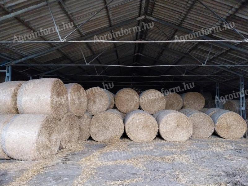 Búza szalma bála eladó, 160-as méret, fedett helyen tárolt