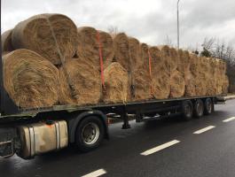 Széna korlátozott mennyiségben eladó