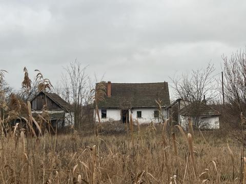 Eladó 0,4 hektáros tanya Tömörkényen Eladó 0,4 hektáros tanya Tömörkényen