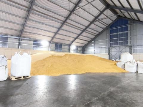 2025-ös betakarítású kukorica és búza eladó 2025-ös betakarítású kukorica és búza eladó