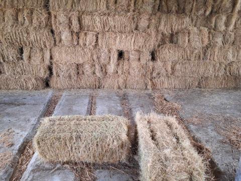 Kiskocka szalma bála eladó Kiskocka szalma bála eladó