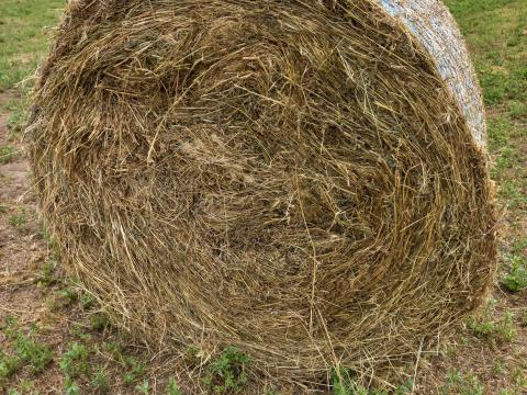 120 cm átmérőjű vegyes bálák eladók 120 cm átmérőjű vegyes bálák eladók