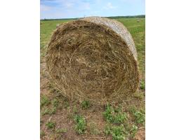 120 cm átmérőjű vegyes bálák eladók