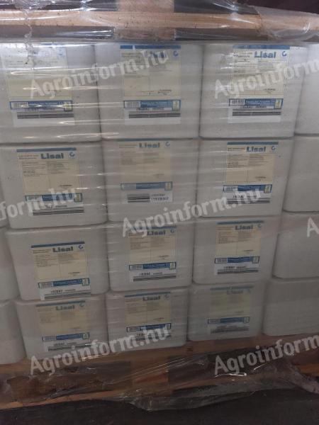 Natúr kockasó lengyel