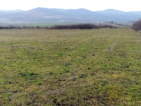 Eladó földterület Eladó földterület