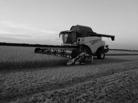 NEW HOLLAND CR 980 - 2006 - 4005 óra + BISO CROP RANGER 8,5 m