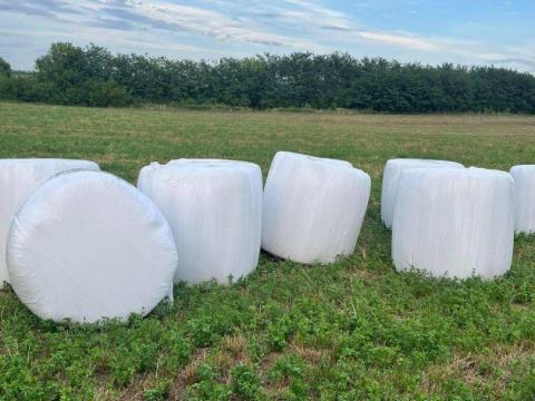 2 hektár szántó eladó Cegléden, az M4 mellett 2 hektár szántó eladó Cegléden, az M4 mellett