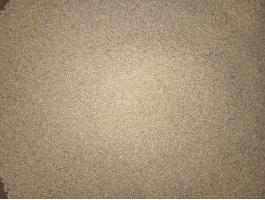 Kacsa befejező táp eladó