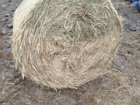 Szénabála Szénabála