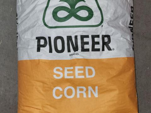 Pioneer kukorica vetőmag eladó – 9610 fajta, 2024-es, 80 ezer szemes Pioneer kukorica vetőmag eladó – 9610 fajta, 2024-es, 80 ezer szemes